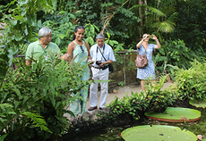 Congressistas visitam o Parque Zoobotânico do Museu Goeldi