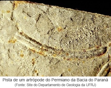 Pista de um artrópode do Permiano da Bacia do Paraná.png