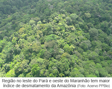 Região com maior índice de desmatamento do bioma amazônico