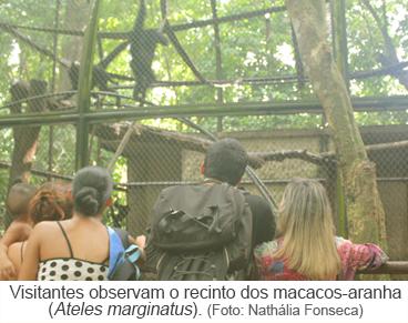 Visitantes observam o recinto dos macacos-aranhas