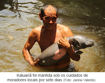 Kaluanã foi mantida sob os cuidados de moradores locais por sete dias