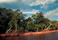 Floresta do mangue cercada para pesca no Dalte Amazonas.png
